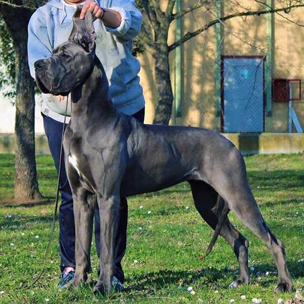 Xylia dei Monti del Keraton Xylia dei Monti del Keraton